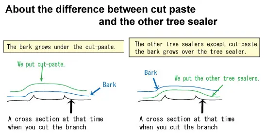 Cut Paste (w/out hormone) CB Tools