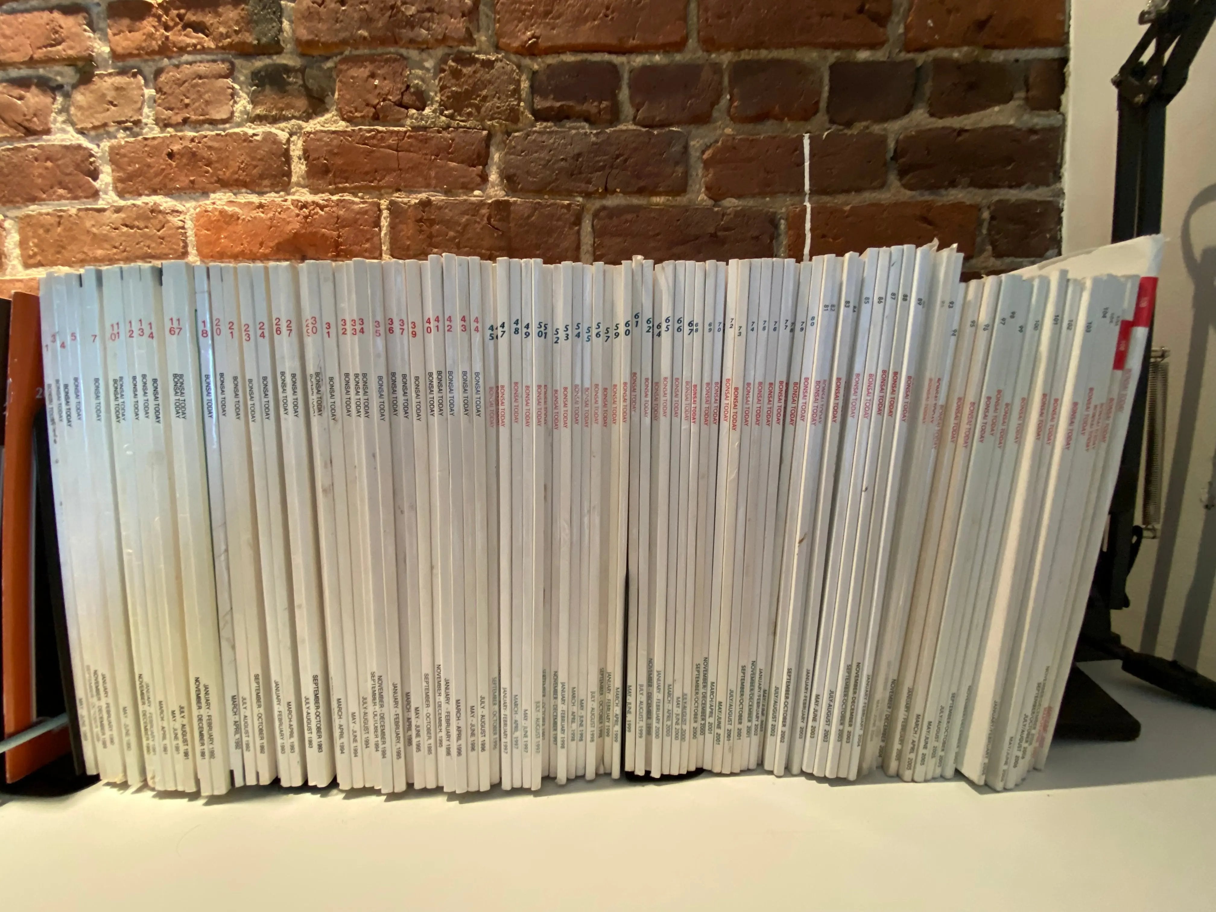 BONSAI TODAY #1-109 (COMPLETE COLLECTION) CB Books