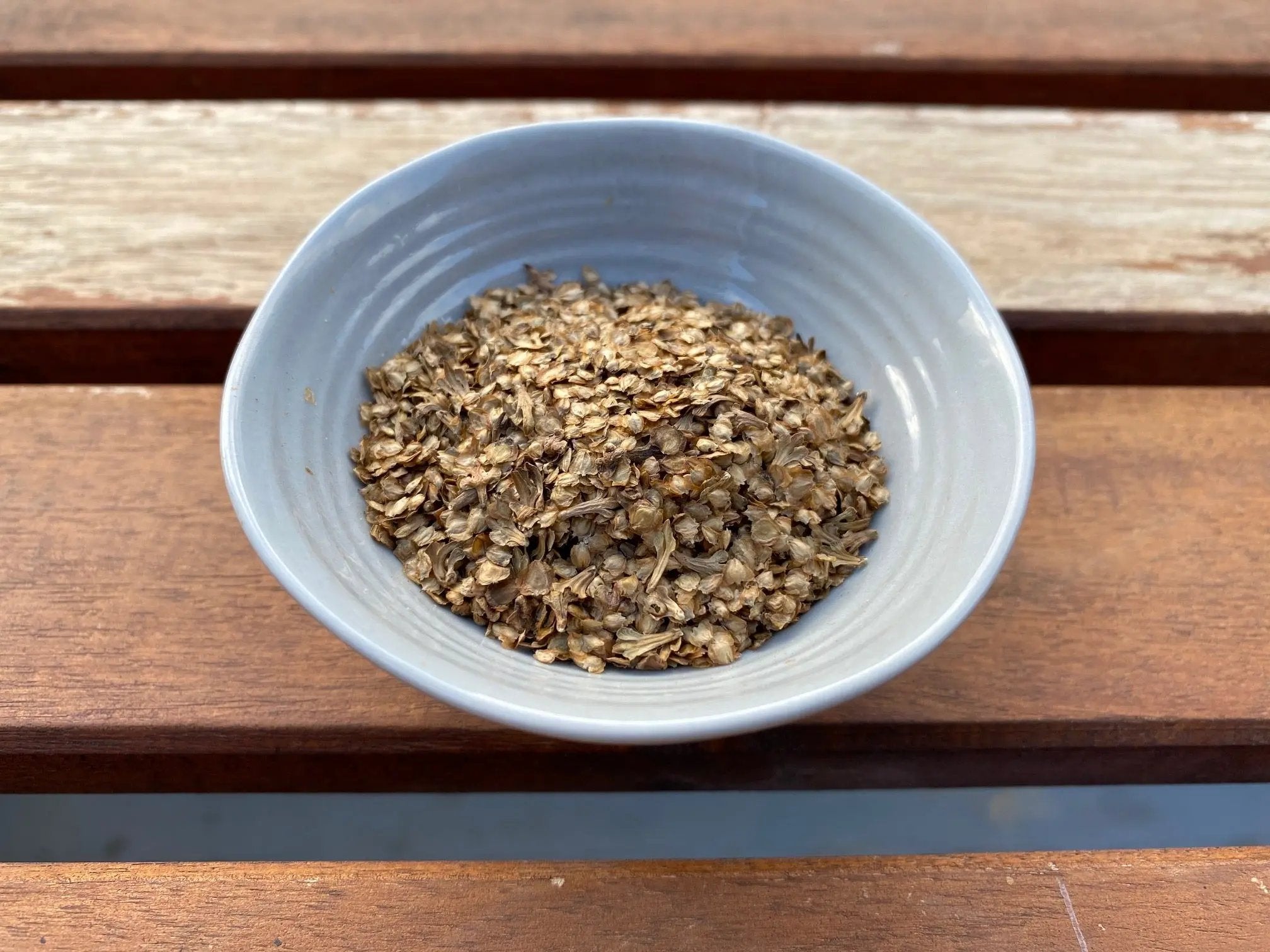 Betula platyphylla (Japanese White Birch) CB Seeds