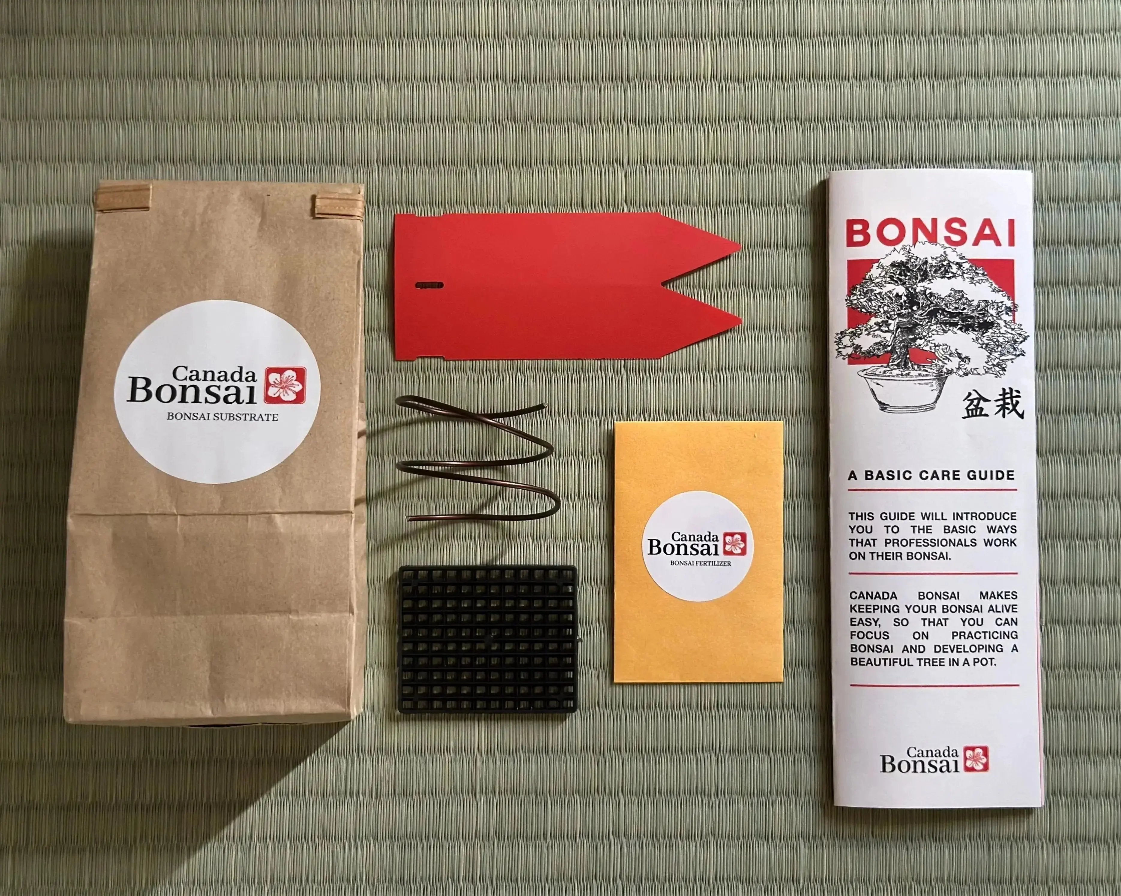 Base Kit with Seed Canada Bonsai