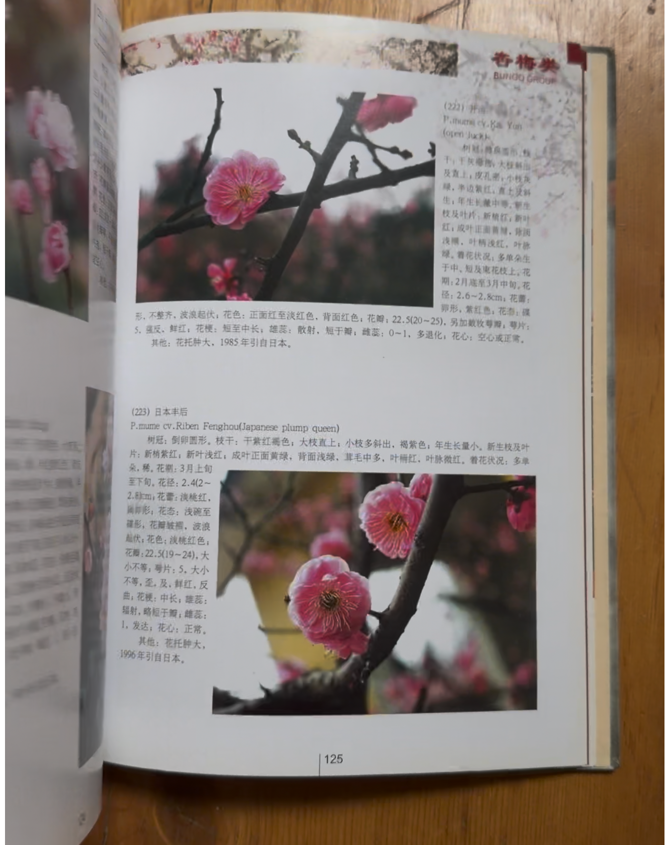 Méi Encyclopedia (南京梅普)